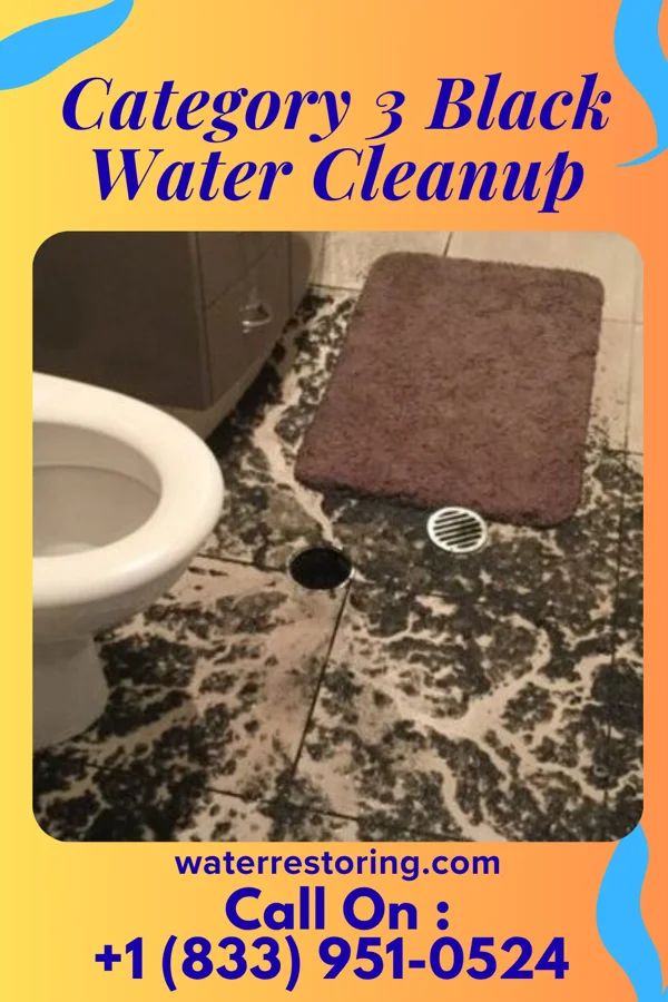 Category 3 Black Water Cleanup in Sparks, GA